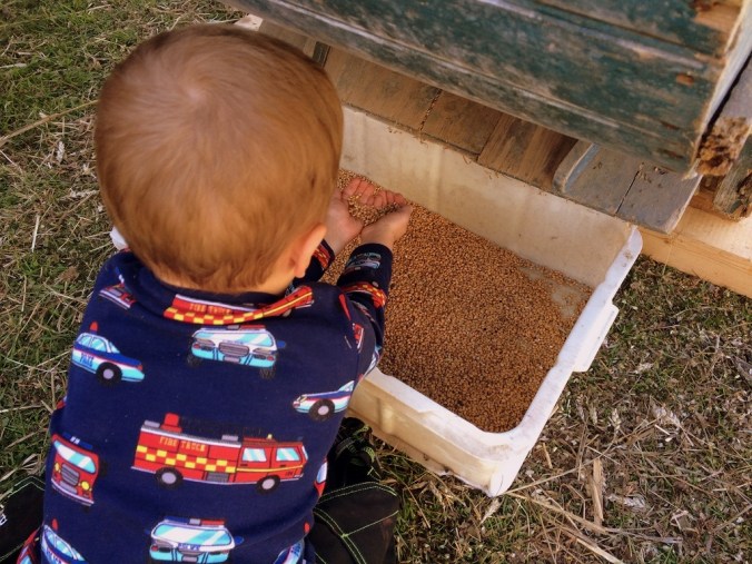 20150919_123214416_iOS