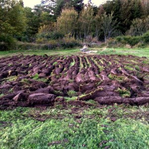 20150921_164008904_iOS