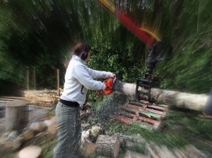 20151003_090043068_iOS