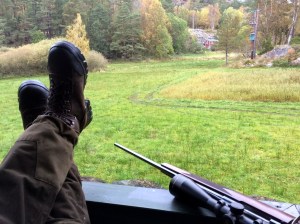 20151012_062553467_iOS