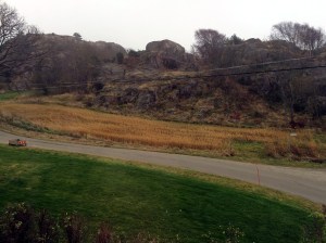 20151101_075114186_iOS