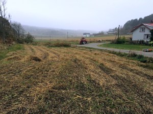 20151101_104259224_iOS