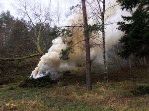 20151105_122028705_iOS