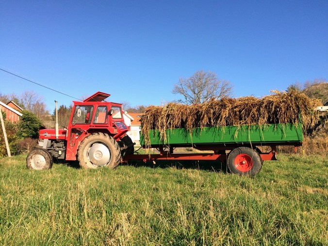 20151108_104124038_iOS