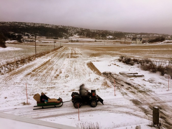 20151227_101449004_iOS