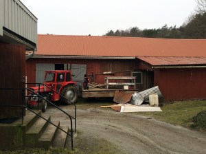 20150307_094404926_iOS