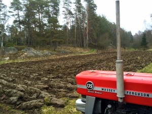 20150410_132909410_iOS