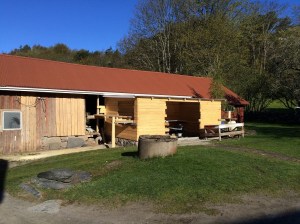 20150503_062902706_iOS