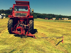 20150701_112123981_iOS