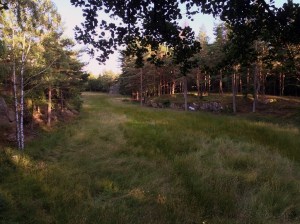 20150720_180832371_iOS