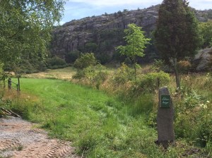 20150805_104210558_iOS