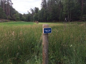 20150805_130911550_iOS