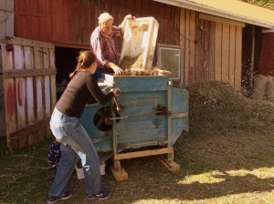 20150919_123343182_iOS