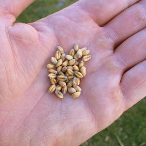 20150919_140640643_iOS