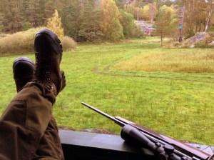 20151012_062553467_iOS