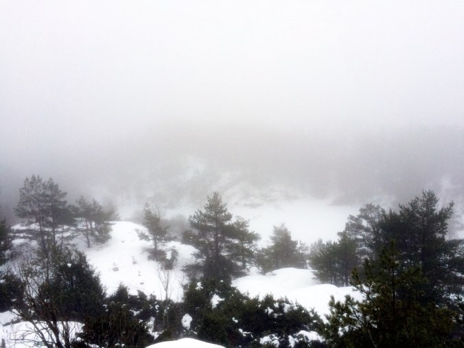 20160124_075616688_iOS