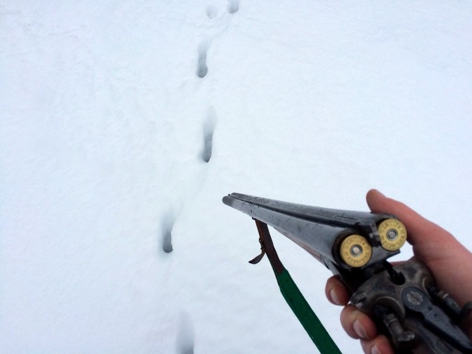 20160124_075716929_iOS