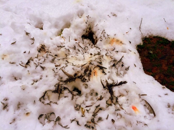 20160124_083830310_iOS