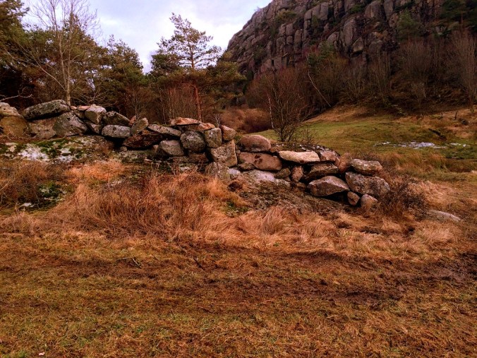 20160131_120609912_iOS