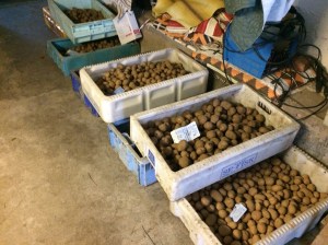 20160227_152202521_iOS