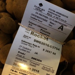 20160227_152211665_iOS