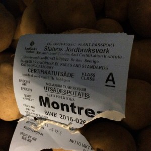 20160227_152223311_iOS