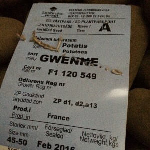 20160227_152300040_iOS