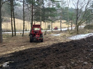 20160312_104131547_iOS