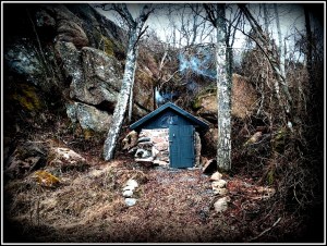 20160313_121532226_iOS