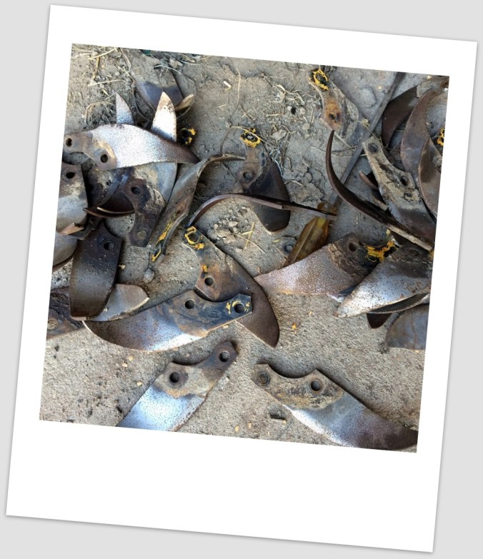 20160318_161429146_iOS