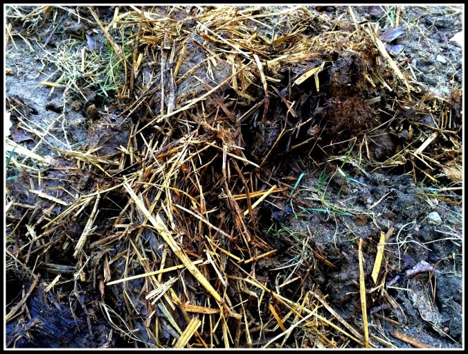 20160318_164809979_iOS