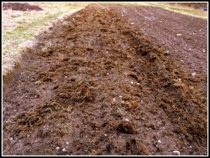 20160318_164821357_iOS