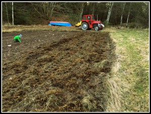 20160318_164849638_iOS