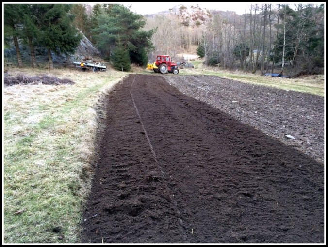 20160318_165756846_iOS