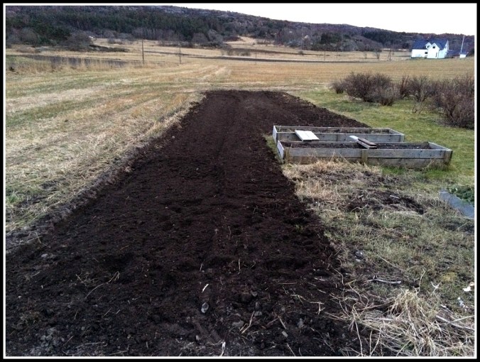 20160318_173744927_iOS