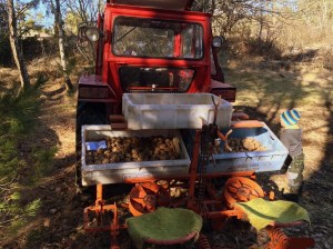 20160319_135904488_iOS