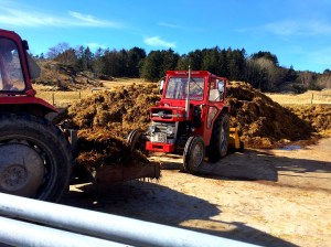 20160320_104749033_iOS