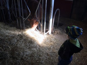 20160320_105247617_iOS