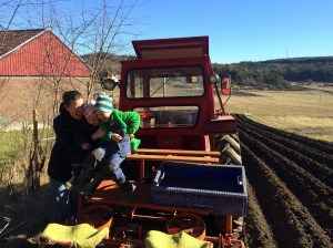 20160320_132823845_iOS