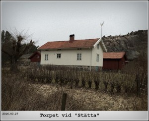 20160327_100202323_iOS