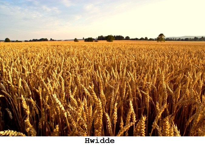 20160329_sadesslagen_vete