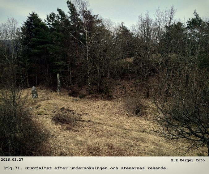 Sida_169_Ga_Tolleby_2016_Fig71