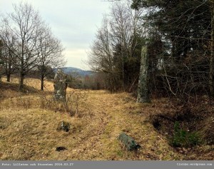 Sida_169_Ga_Tolleby_2016_stenarna_001