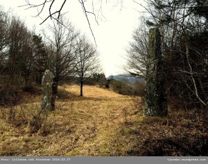 Sida_169_Ga_Tolleby_2016_stenarna_002