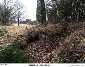 Sida_169_Ga_Tolleby_Grustag_2016_001