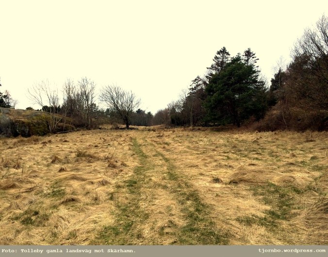 Sida_169_Ga_Tolleby_vagen_001