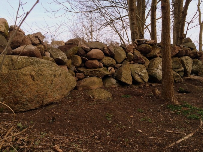 20160402_155329335_iOS