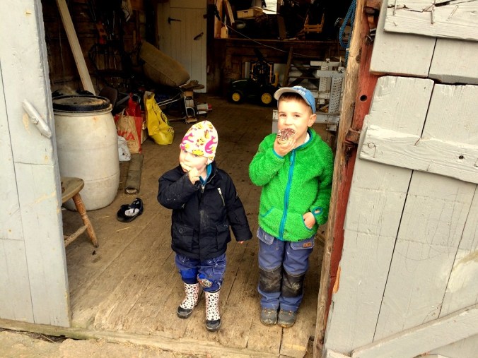 20160406_163213258_iOS