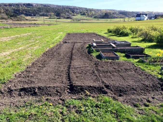 20160505_143648280_iOS