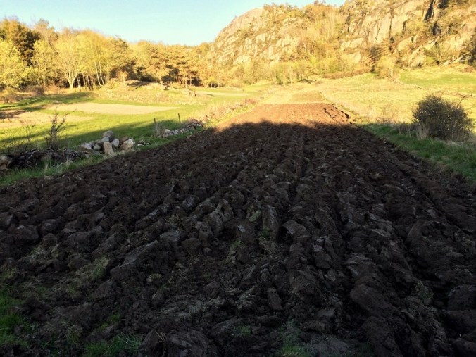 20160506_171642696_iOS